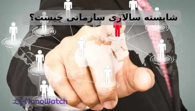 شایسته سالاری سازمانی چیست؟ بررسی اهمیت شایستهسالاری در سازمان