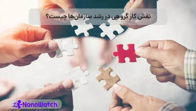 کار گروهی در سازمان