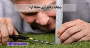 کمال گرایی