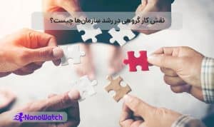 کار گروهی در سازمان